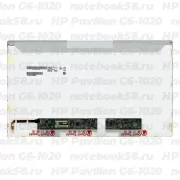 Матрица для ноутбука HP Pavilion G6-1020 (1366x768 HD) TN, 40pin, Глянцевая