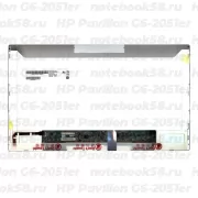 Матрица для ноутбука HP Pavilion G6-2051er (1366x768 HD) TN, 40pin, Матовая