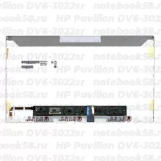 Матрица для ноутбука HP Pavilion DV6-3022sr (1366x768 HD) TN, 40pin, Глянцевая