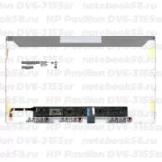 Матрица для ноутбука HP Pavilion DV6-3155sr (1366x768 HD) TN, 40pin, Глянцевая