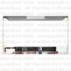 Матрица для ноутбука HP Pavilion DV6-3002 (1366x768 HD) TN, 40pin, Матовая