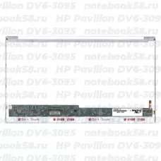 Матрица для ноутбука HP Pavilion DV6-3095 (1366x768 HD) TN, 40pin, Глянцевая