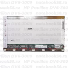 Матрица для ноутбука HP Pavilion DV6-3009 (1366x768 HD) TN, 40pin, Глянцевая