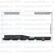 Матрица для ноутбука HP Pavilion DV6-3177 (1366x768 HD) TN, 40pin, Глянцевая