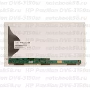 Матрица для ноутбука HP Pavilion DV6-3150sr (1366x768 HD) TN, 40pin, Матовая