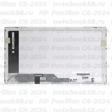 Матрица для ноутбука HP Pavilion G6-2024 (1366x768 HD) TN, 40pin, Глянцевая