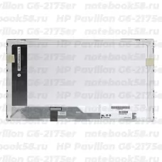 Матрица для ноутбука HP Pavilion G6-2175er (1366x768 HD) TN, 40pin, Глянцевая