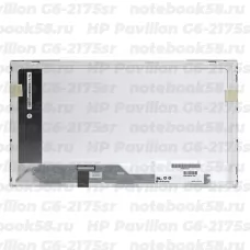 Матрица для ноутбука HP Pavilion G6-2175sr (1366x768 HD) TN, 40pin, Глянцевая