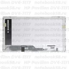 Матрица для ноутбука HP Pavilion DV6-3117 (1366x768 HD) TN, 40pin, Глянцевая