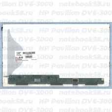 Матрица для ноутбука HP Pavilion DV6-3000 (1366x768 HD) TN, 40pin, Матовая