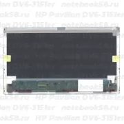 Матрица для ноутбука HP Pavilion DV6-3151er (1366x768 HD) TN, 40pin, Матовая