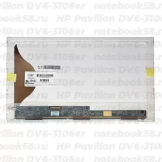 Матрица для ноутбука HP Pavilion DV6-3106er (1366x768 HD) TN, 40pin, Матовая