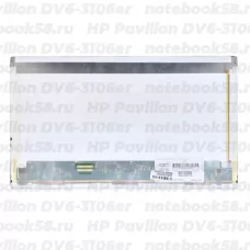 Матрица для ноутбука HP Pavilion DV6-3106er (1366x768 HD) TN, 40pin, Матовая