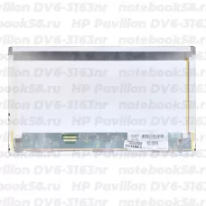 Матрица для ноутбука HP Pavilion DV6-3163nr (1366x768 HD) TN, 40pin, Матовая