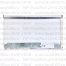 Матрица для ноутбука HP Pavilion DV6-3000 (1366x768 HD) TN, 40pin, Матовая