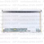 Матрица для ноутбука HP Pavilion DV6-3077 (1366x768 HD) TN, 40pin, Матовая