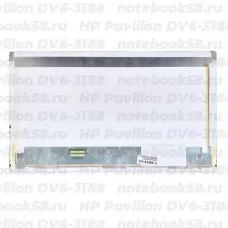 Матрица для ноутбука HP Pavilion DV6-3188 (1366x768 HD) TN, 40pin, Матовая