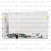 Матрица для ноутбука HP Pavilion G6-1b79 (1366x768 HD) TN, 40pin, Матовая