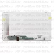 Матрица для ноутбука HP Pavilion G6-1231sr (1366x768 HD) TN, 40pin, Глянцевая