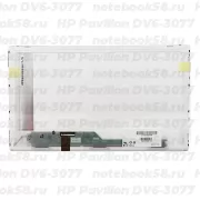 Матрица для ноутбука HP Pavilion DV6-3077 (1366x768 HD) TN, 40pin, Глянцевая