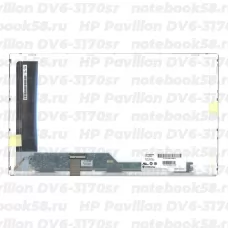 Матрица для ноутбука HP Pavilion DV6-3170sr (1366x768 HD) TN, 40pin, Матовая