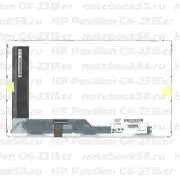 Матрица для ноутбука HP Pavilion G6-2315er (1366x768 HD) TN, 40pin, Матовая