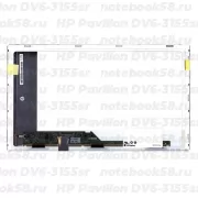 Матрица для ноутбука HP Pavilion DV6-3155sr (1366x768 HD) TN, 40pin, Матовая