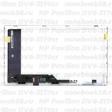 Матрица для ноутбука HP Pavilion DV6-3170sr (1366x768 HD) TN, 40pin, Матовая