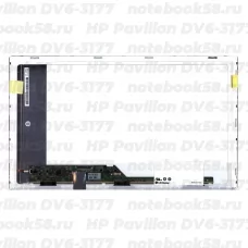 Матрица для ноутбука HP Pavilion DV6-3177 (1366x768 HD) TN, 40pin, Матовая