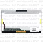 Матрица для ноутбука HP Pavilion G6-1067 (1366x768 HD) TN, 40pin, Глянцевая