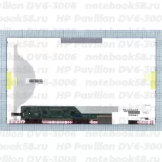 Матрица для ноутбука HP Pavilion DV6-3006 (1366x768 HD) TN, 40pin, Матовая