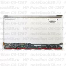 Матрица для ноутбука HP Pavilion G6-1267 (1366x768 HD) TN, 40pin, Глянцевая