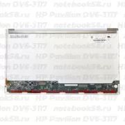 Матрица для ноутбука HP Pavilion DV6-3117 (1366x768 HD) TN, 40pin, Глянцевая