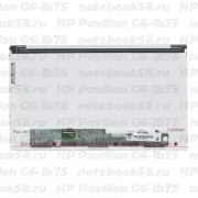 Матрица для ноутбука HP Pavilion G6-1b75 (1366x768 HD) TN, 40pin, Матовая