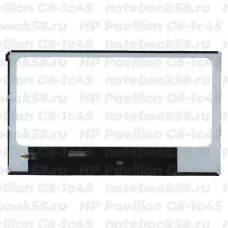 Матрица для ноутбука HP Pavilion G6-1c45 (1366x768 HD) TN, 40pin, Глянцевая