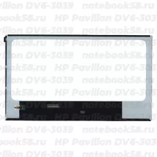 Матрица для ноутбука HP Pavilion DV6-3039 (1366x768 HD) TN, 40pin, Глянцевая