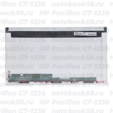 Матрица для ноутбука HP Pavilion G7-1236 (1600x900 HD+) TN, 40pin, Глянцевая