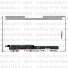 Матрица для ноутбука HP Pavilion DV6-3006 (1366x768 HD) TN, 40pin, Глянцевая