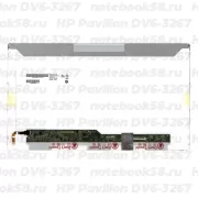Матрица для ноутбука HP Pavilion DV6-3267 (1366x768 HD) TN, 40pin, Матовая