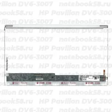 Матрица для ноутбука HP Pavilion DV6-3007 (1366x768 HD) TN, 40pin, Глянцевая