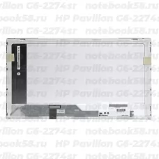 Матрица для ноутбука HP Pavilion G6-2274sr (1366x768 HD) TN, 40pin, Глянцевая