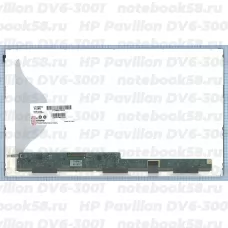 Матрица для ноутбука HP Pavilion DV6-3001 (1366x768 HD) TN, 40pin, Матовая