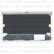 Матрица для ноутбука HP Pavilion DV6-3267 (1366x768 HD) TN, 40pin, Матовая