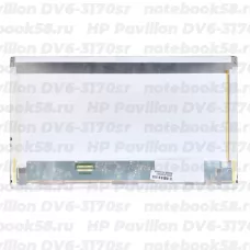 Матрица для ноутбука HP Pavilion DV6-3170sr (1366x768 HD) TN, 40pin, Матовая