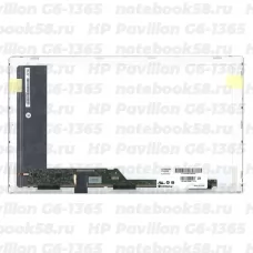Матрица для ноутбука HP Pavilion G6-1365 (1366x768 HD) TN, 40pin, Глянцевая