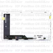 Матрица для ноутбука HP Pavilion G6-2234nr (1366x768 HD) TN, 40pin, Матовая