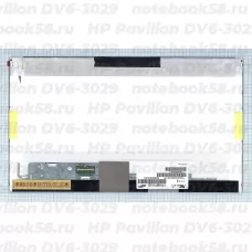 Матрица для ноутбука HP Pavilion DV6-3029 (1366x768 HD) TN, 40pin, Матовая
